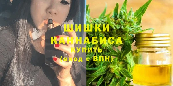 прущие грибы Кодинск