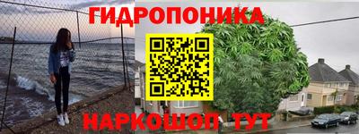 кокс Бердск