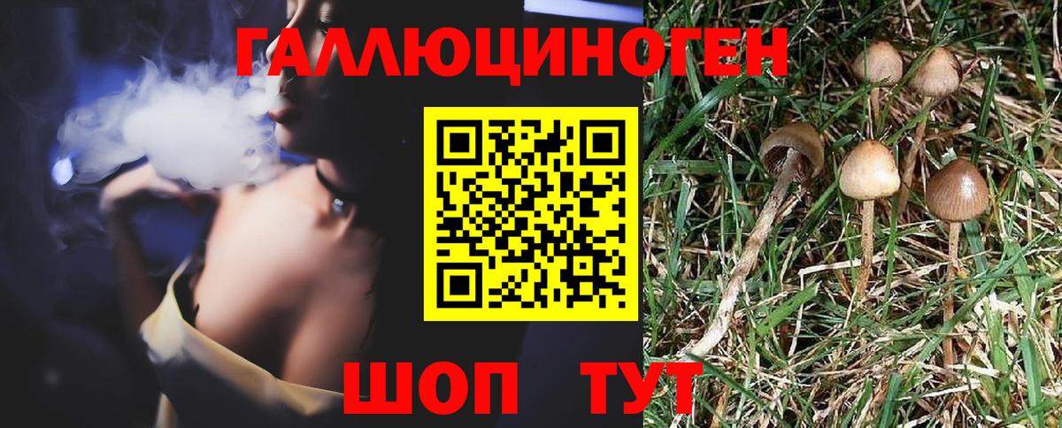 Псилоцибиновые грибы ЛСД Красный Сулин
