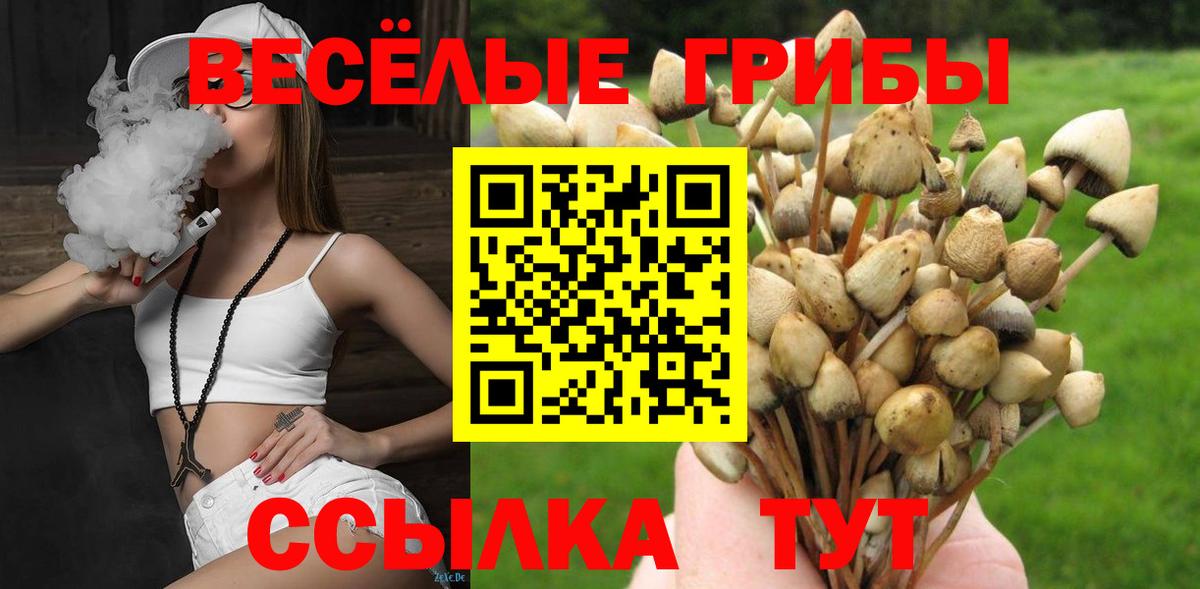 Красный Сулин  сколько стоит  Вход с VPN  Псилоцибиновые грибы Psilocybine cubensis 